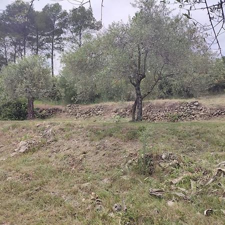 Figanières Auberge Des Esperels Rez De Maison Avec Jardin מראה חיצוני תמונה