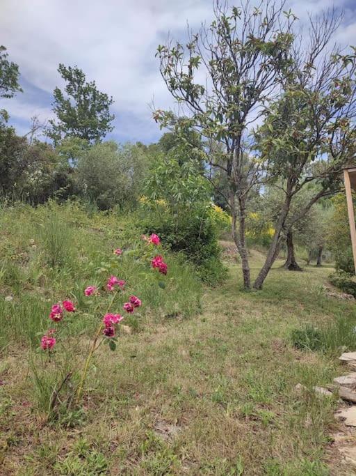 Figanières Auberge Des Esperels Rez De Maison Avec Jardin מראה חיצוני תמונה
